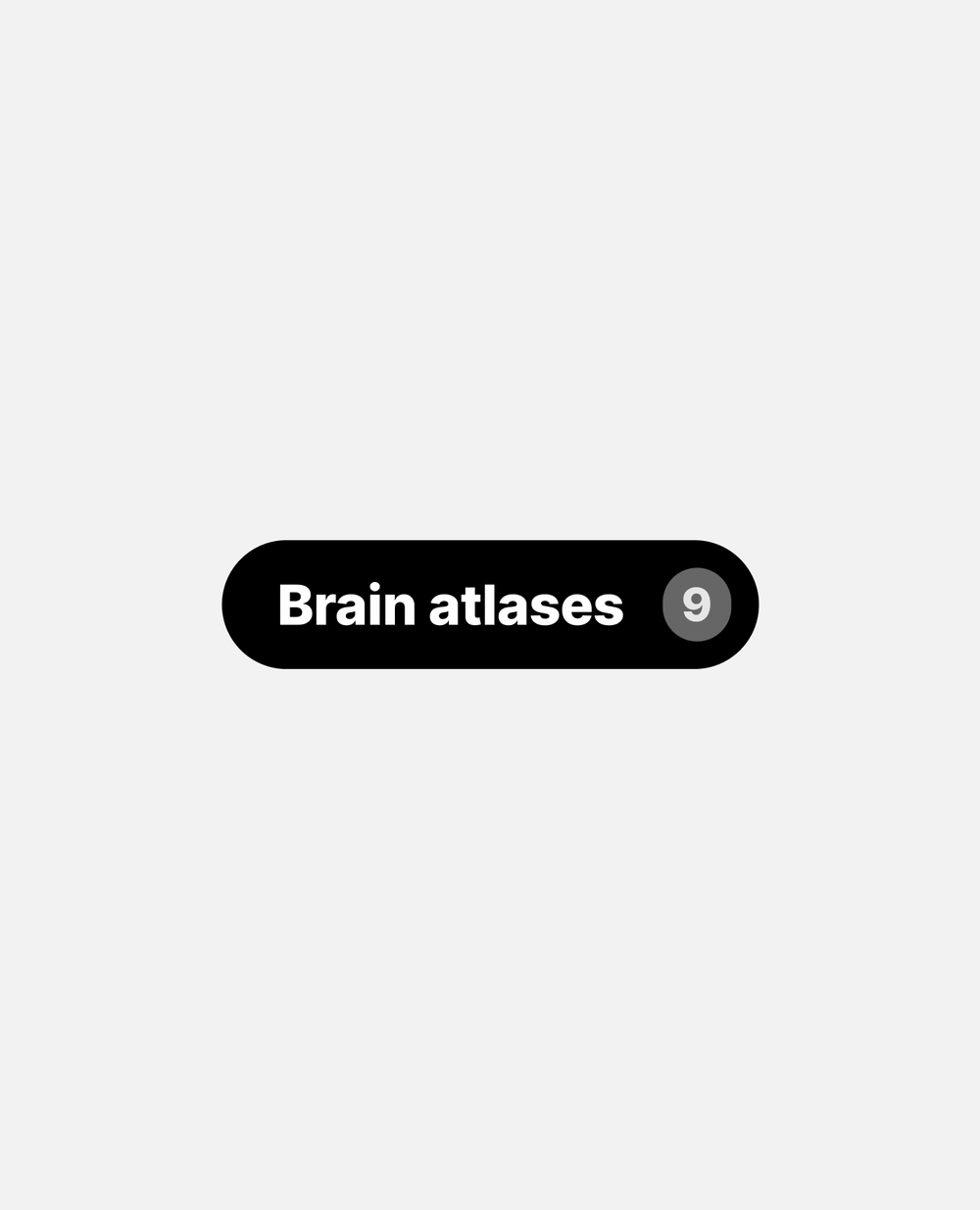 Ebrains 06b Ui