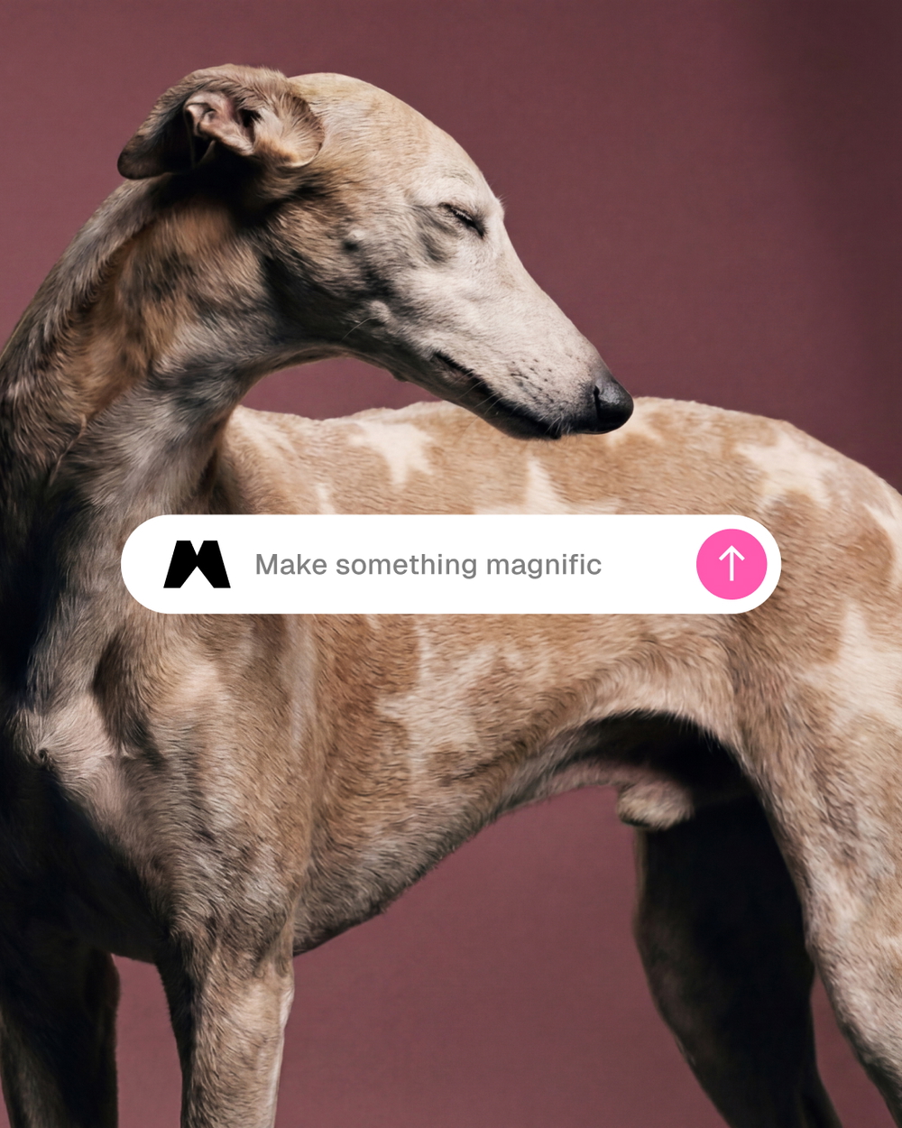 Media carousel 5