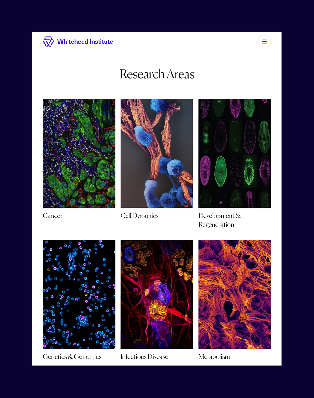 Whitehead 15 research areas
